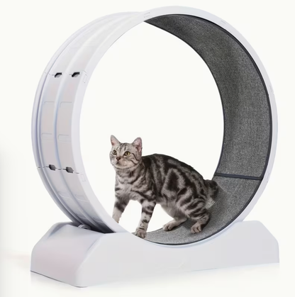 33-Inch Large Carpet-Surface Cat Exercise Wheel🐈🐈🐈