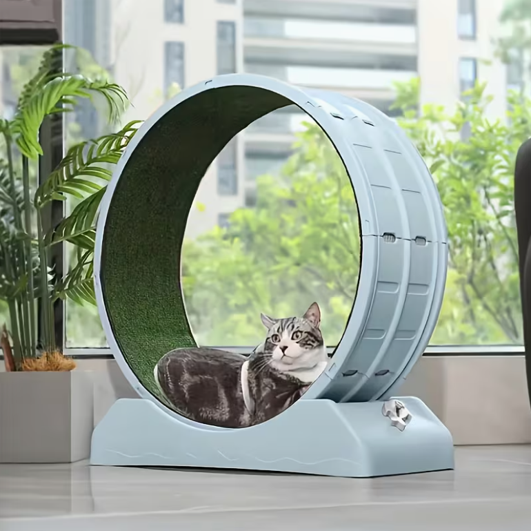 33-Inch Large Carpet-Surface Cat Exercise Wheel🐈🐈🐈