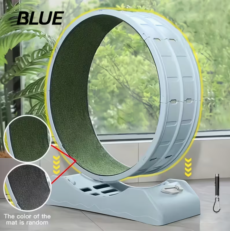 33-Inch Large Carpet-Surface Cat Exercise Wheel🐈🐈🐈