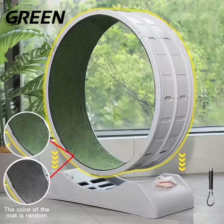 33-Inch Large Carpet-Surface Cat Exercise Wheel🐈🐈🐈