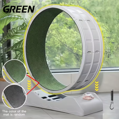 33-Inch Large Carpet-Surface Cat Exercise Wheel🐈🐈🐈